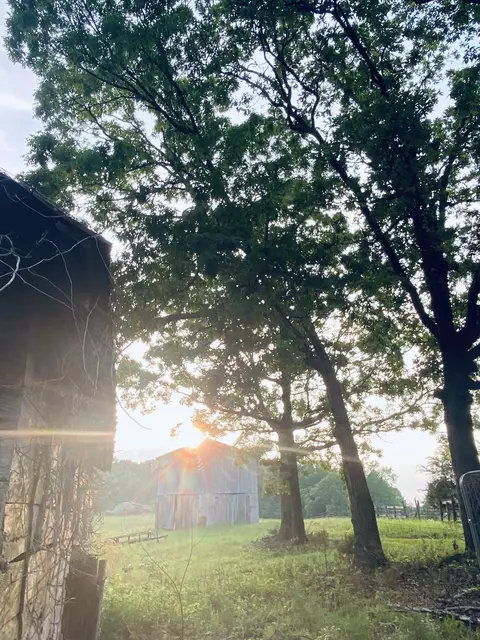 450 Wolf Pit Rd, Erin, TN 37061