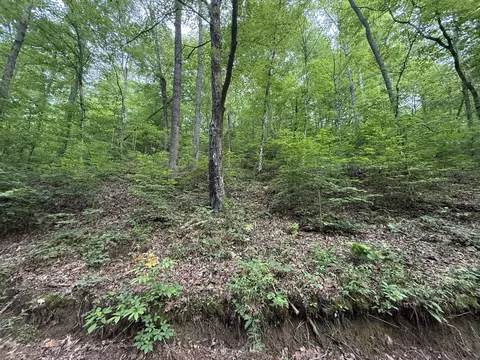 0 Hassell Creek Rd, Centerville, TN 37033 photo 6