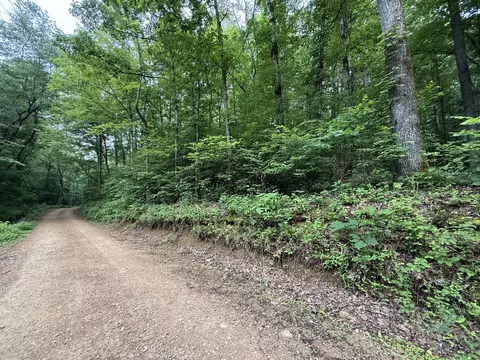 0 Hassell Creek Rd, Centerville, TN 37033 photo 4