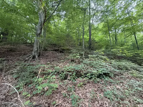 0 Hassell Creek Rd, Centerville, TN 37033 photo 9