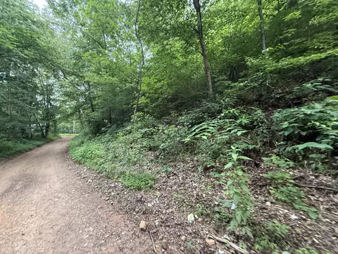 0 Hassell Creek Rd, Centerville, TN 37033 photo 7