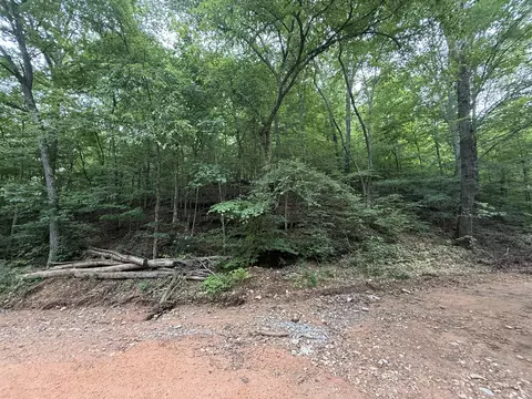 0 Hassell Creek Rd, Centerville, TN 37033 photo 11