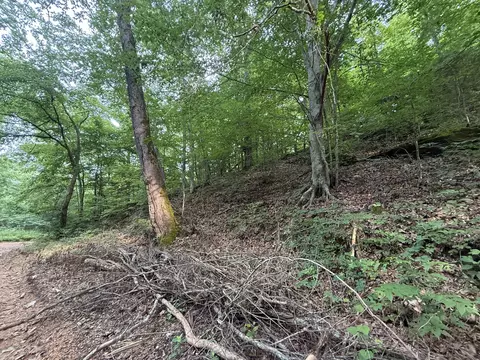 0 Hassell Creek Rd, Centerville, TN 37033 photo 8