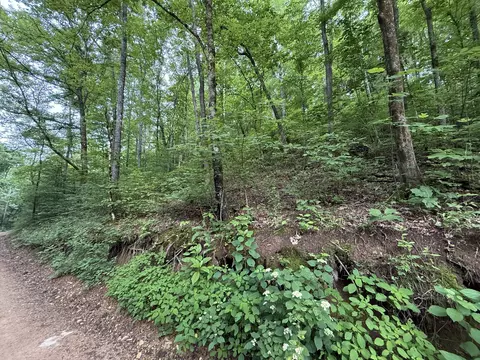 0 Hassell Creek Rd, Centerville, TN 37033 photo 5