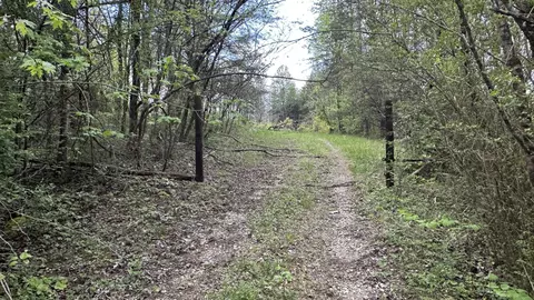 556 Lee Hargis Rd, Gruetli Laager, TN 37339