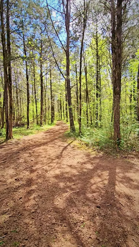 3416 Highway 100 W, Centerville, TN 37033