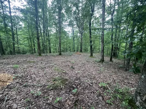 0 New Lawrenceburg Hwy, Mount Pleasant, TN 38474
