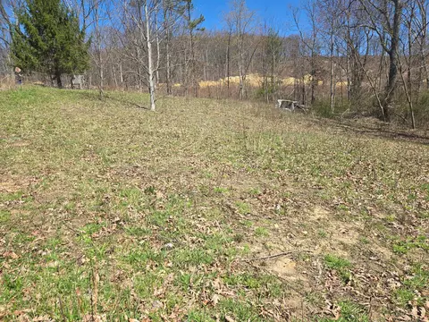 6 Blaylock Ln, Palmer, TN 37365