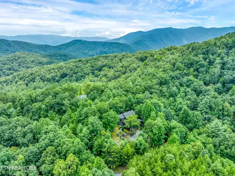 View/Area - 802 Stonegate Way, Townsend, TN 37882 photo 1 of 4