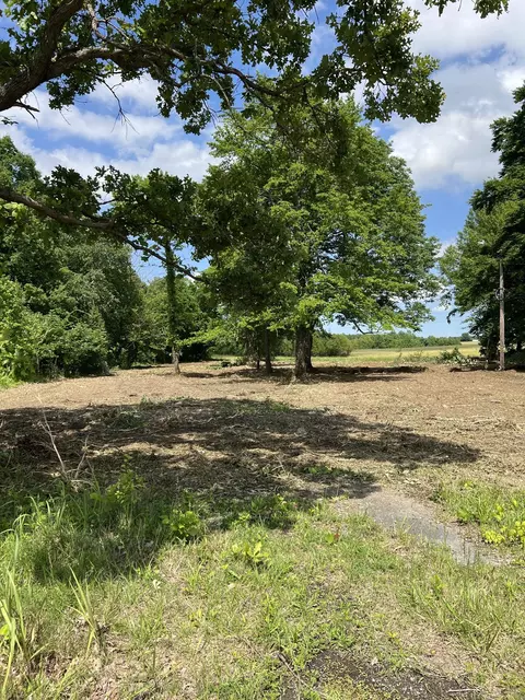 0 Hwy 161, Springfield, TN 37172