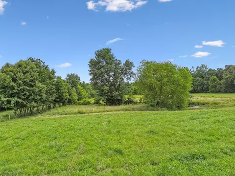 145 Mcafee Rd, Morrison, TN 37357 photo 47