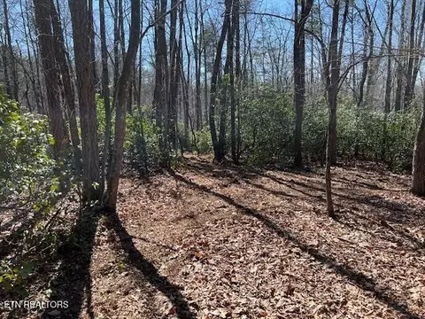 0 Cliff Park Rd, Monterey, TN 38574