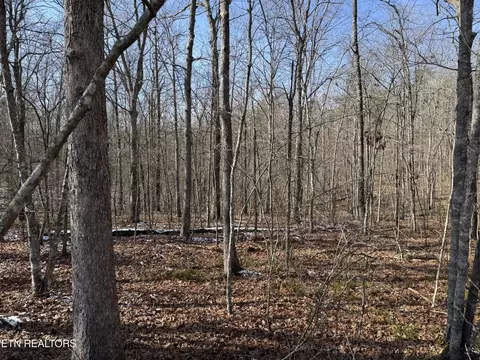 0 Belmont Cir, Monterey, TN 38574