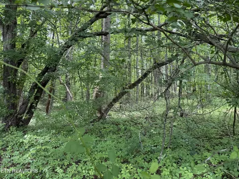 0 Lollar Dr, Monterey, TN 38574