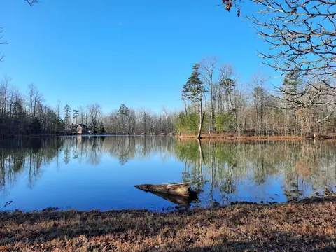 1158 Bluff View Dr, Dunlap, TN 37327 photo 67