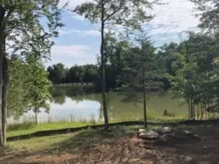 1158 Bluff View Dr, Dunlap, TN 37327 photo 66