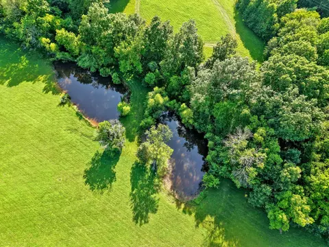 View/Area - 3340 Highway 52 E, Bethpage, TN 37022 photo 16 of 23