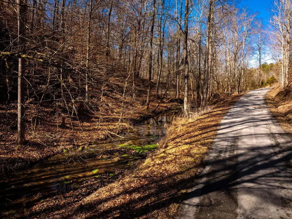 Other - 151 Hail Hollow Rd, Decatur, TN 37322 photo 15 of 16