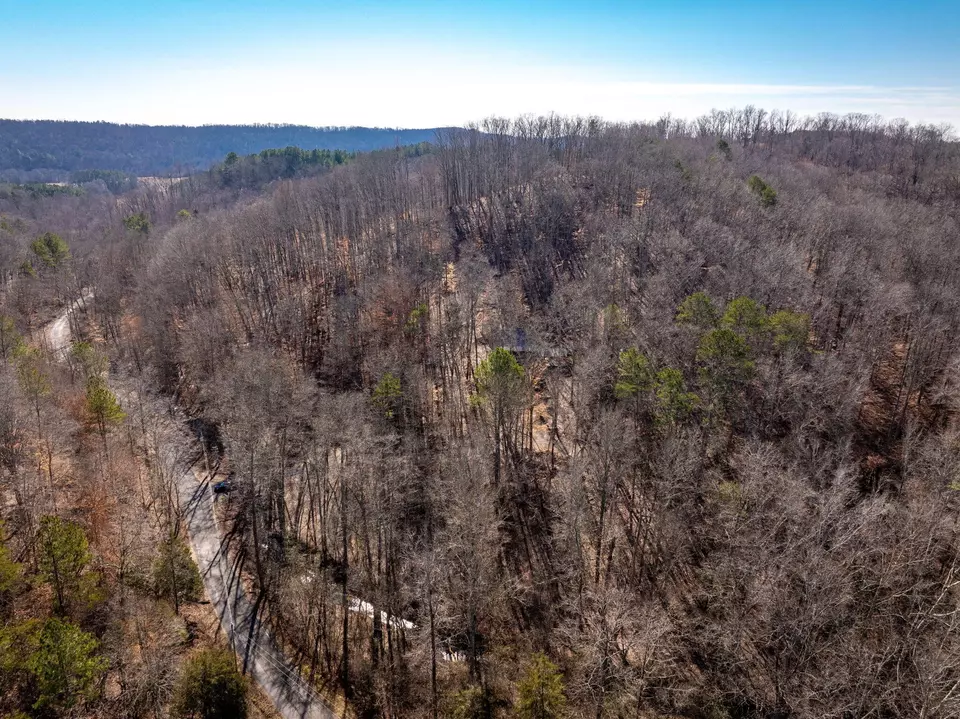 View/Area - 151 Hail Hollow Rd, Decatur, TN 37322 photo 10 of 12