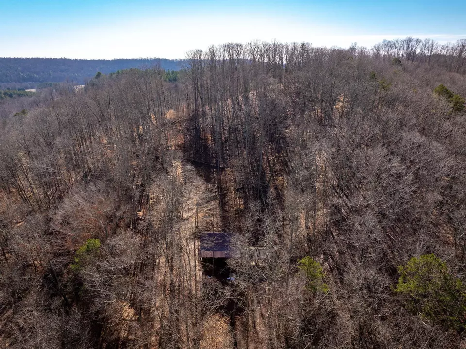 Other - 151 Hail Hollow Rd, Decatur, TN 37322 photo 13 of 16