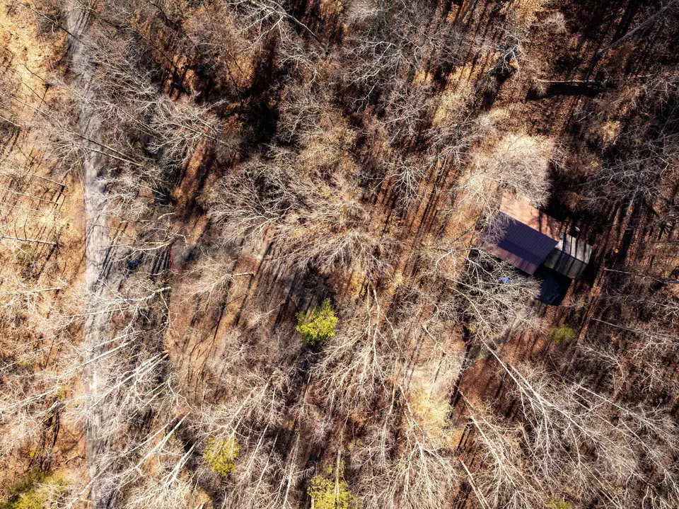 View/Area - 151 Hail Hollow Rd, Decatur, TN 37322 photo 1 of 12