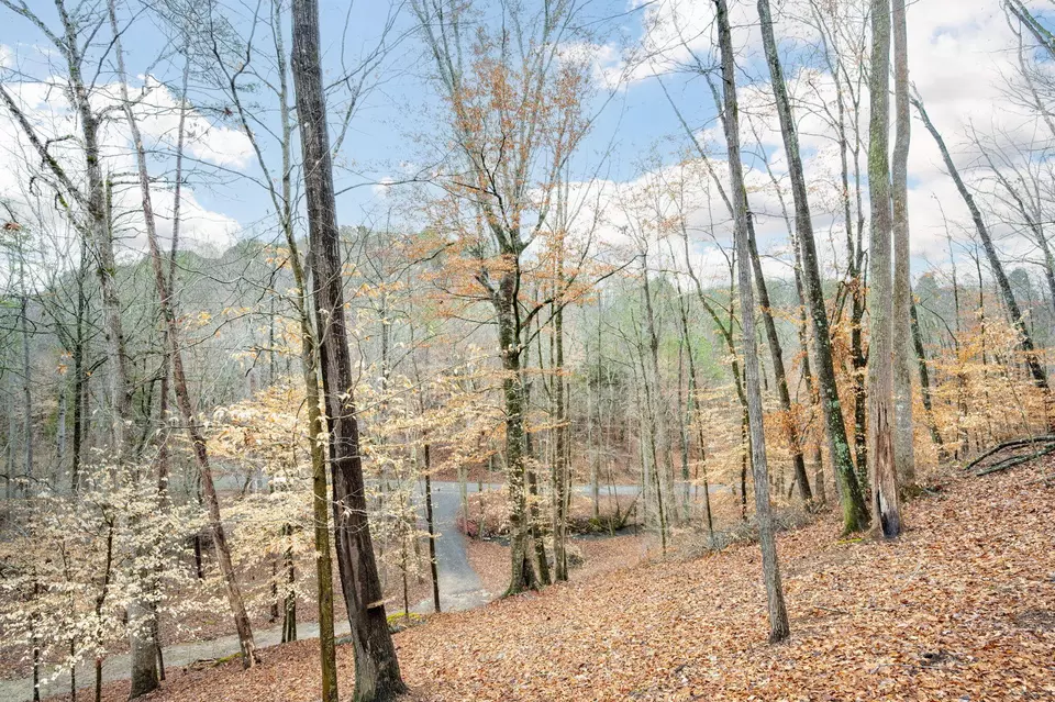 Exterior - 151 Hail Hollow Rd, Decatur, TN 37322 photo 8 of 12