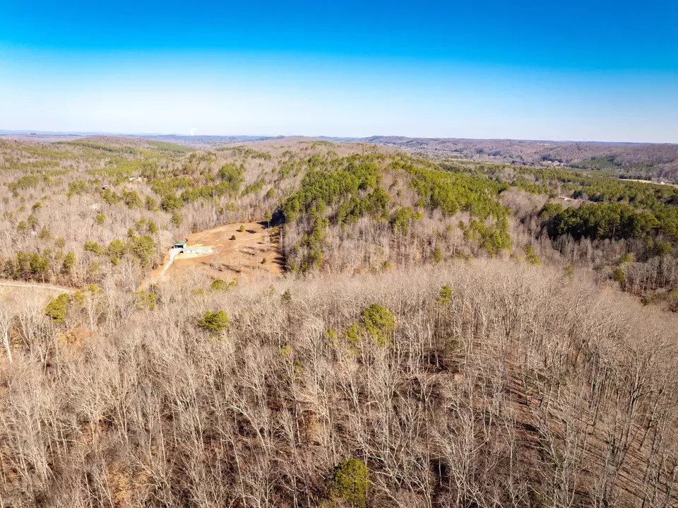 View/Area - 151 Hail Hollow Rd, Decatur, TN 37322 photo 6 of 12