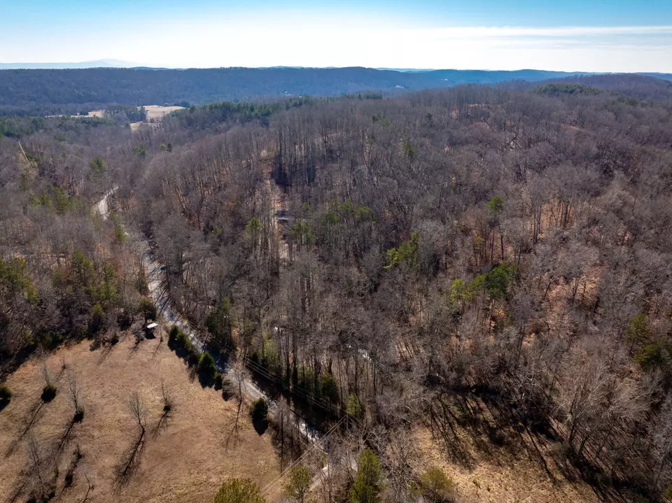 View/Area - 151 Hail Hollow Rd, Decatur, TN 37322 photo 2 of 12