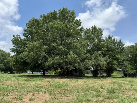 2798 Smoot Rd, Morrison, TN 37357 photo 3