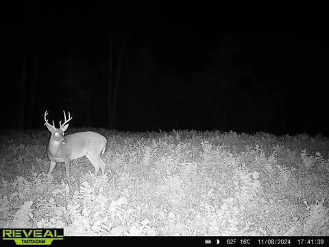 Other - 0 W Hollow Rd, Goodspring, TN 38460 photo 56 of 62