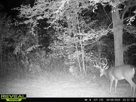 Other - 0 W Hollow Rd, Goodspring, TN 38460 photo 57 of 62
