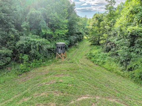 Exterior - 0 W Hollow Rd, Goodspring, TN 38460 photo 5 of 15