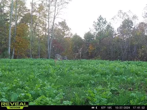 Other - 0 W Hollow Rd, Goodspring, TN 38460 photo 43 of 62