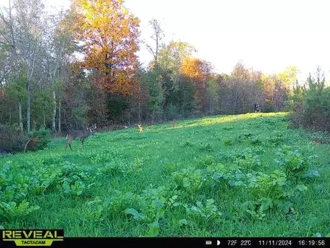 Other - 0 W Hollow Rd, Goodspring, TN 38460 photo 55 of 62