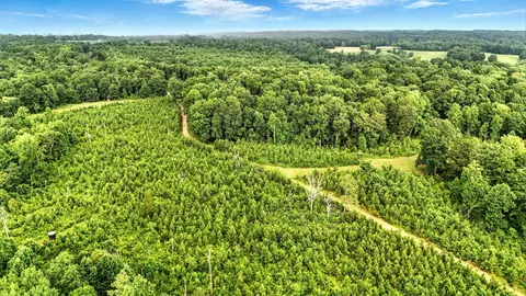Other - 0 W Hollow Rd, Goodspring, TN 38460 photo 21 of 62