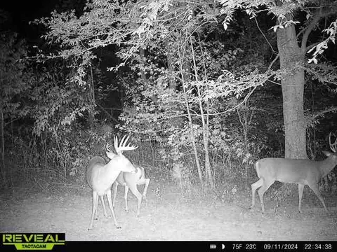 Other - 0 W Hollow Rd, Goodspring, TN 38460 photo 59 of 62