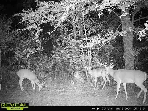 Other - 0 W Hollow Rd, Goodspring, TN 38460 photo 60 of 62