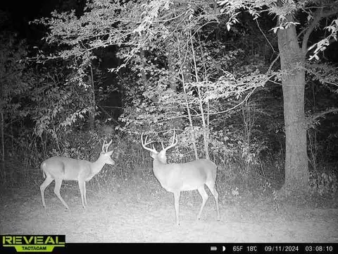 Other - 0 W Hollow Rd, Goodspring, TN 38460 photo 48 of 62