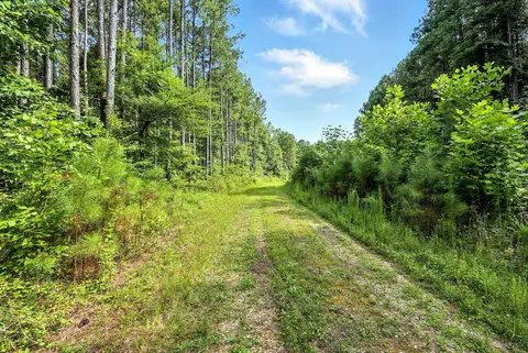 Other - 0 W Hollow Rd, Goodspring, TN 38460 photo 28 of 62
