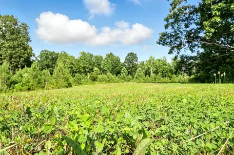 Exterior - 0 W Hollow Rd, Goodspring, TN 38460 photo 3 of 15