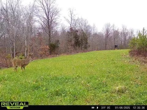 Other - 0 W Hollow Rd, Goodspring, TN 38460 photo 50 of 62