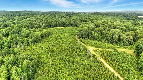 Other - 0 W Hollow Rd, Goodspring, TN 38460 photo 25 of 62
