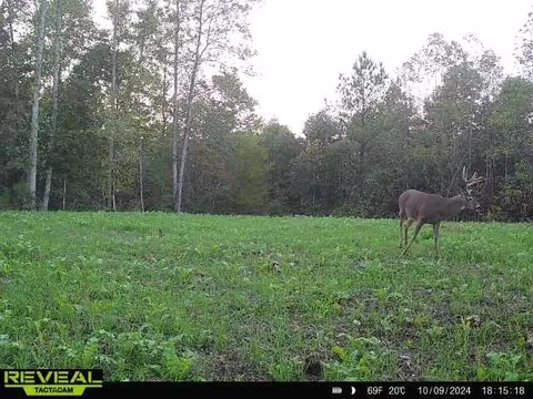 Other - 0 W Hollow Rd, Goodspring, TN 38460 photo 44 of 62