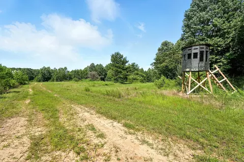 Exterior - 0 W Hollow Rd, Goodspring, TN 38460 photo 6 of 15