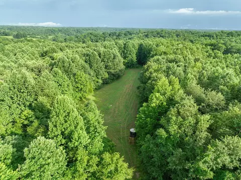 Other - 0 W Hollow Rd, Goodspring, TN 38460 photo 3 of 62