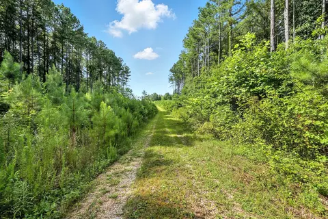 Other - 0 W Hollow Rd, Goodspring, TN 38460 photo 31 of 62