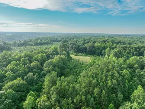 View/Area - 0 W Hollow Rd, Goodspring, TN 38460 photo 15 of 21