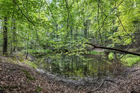 Other - 0 W Hollow Rd, Goodspring, TN 38460 photo 15 of 62