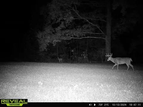 Other - 0 W Hollow Rd, Goodspring, TN 38460 photo 51 of 62