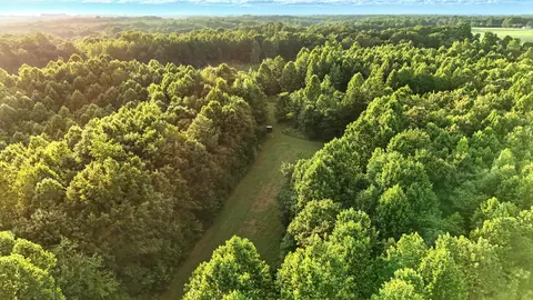 Other - 0 W Hollow Rd, Goodspring, TN 38460 photo 20 of 62